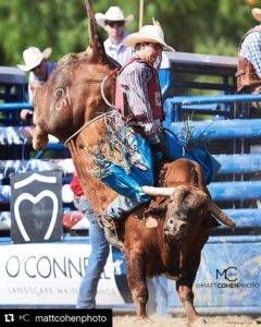 An individual rides a bull.