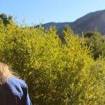 friends hiking in Idaho mountain scenery