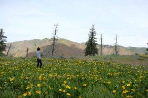 Person stands in a meadow 